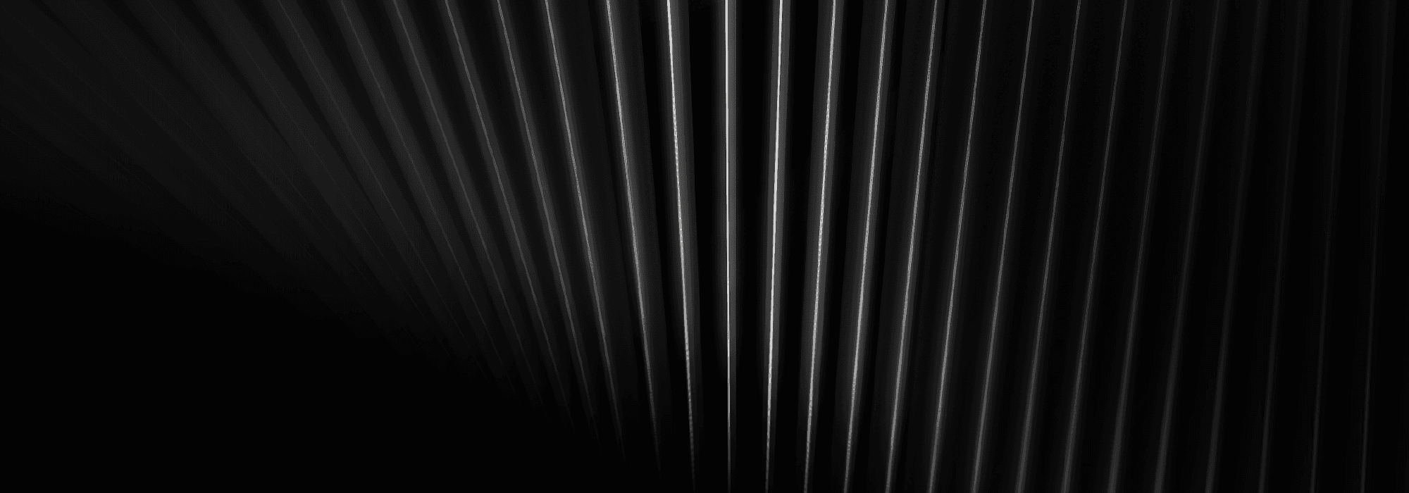 Apilex Bülten #3